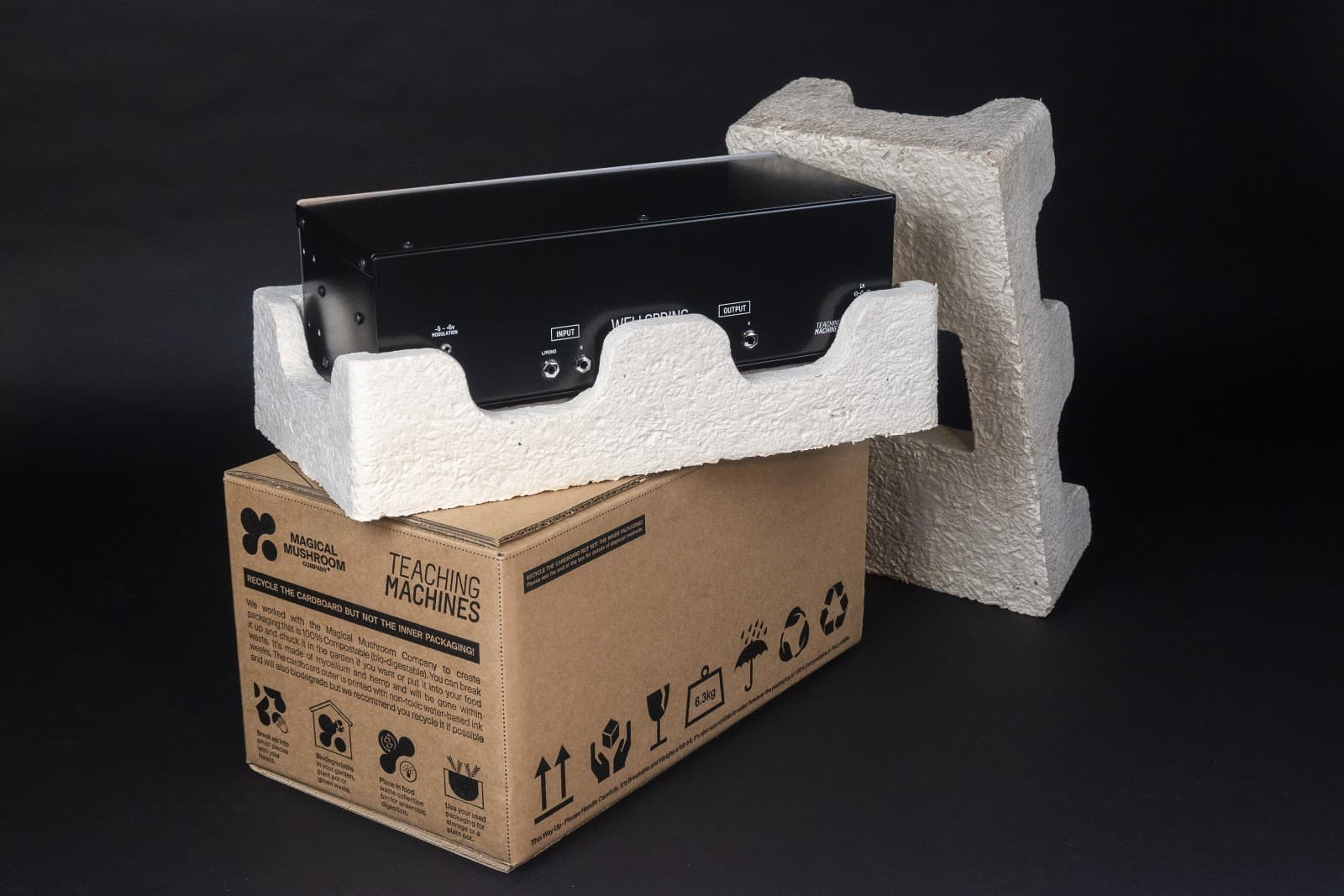 Mycelium packaging