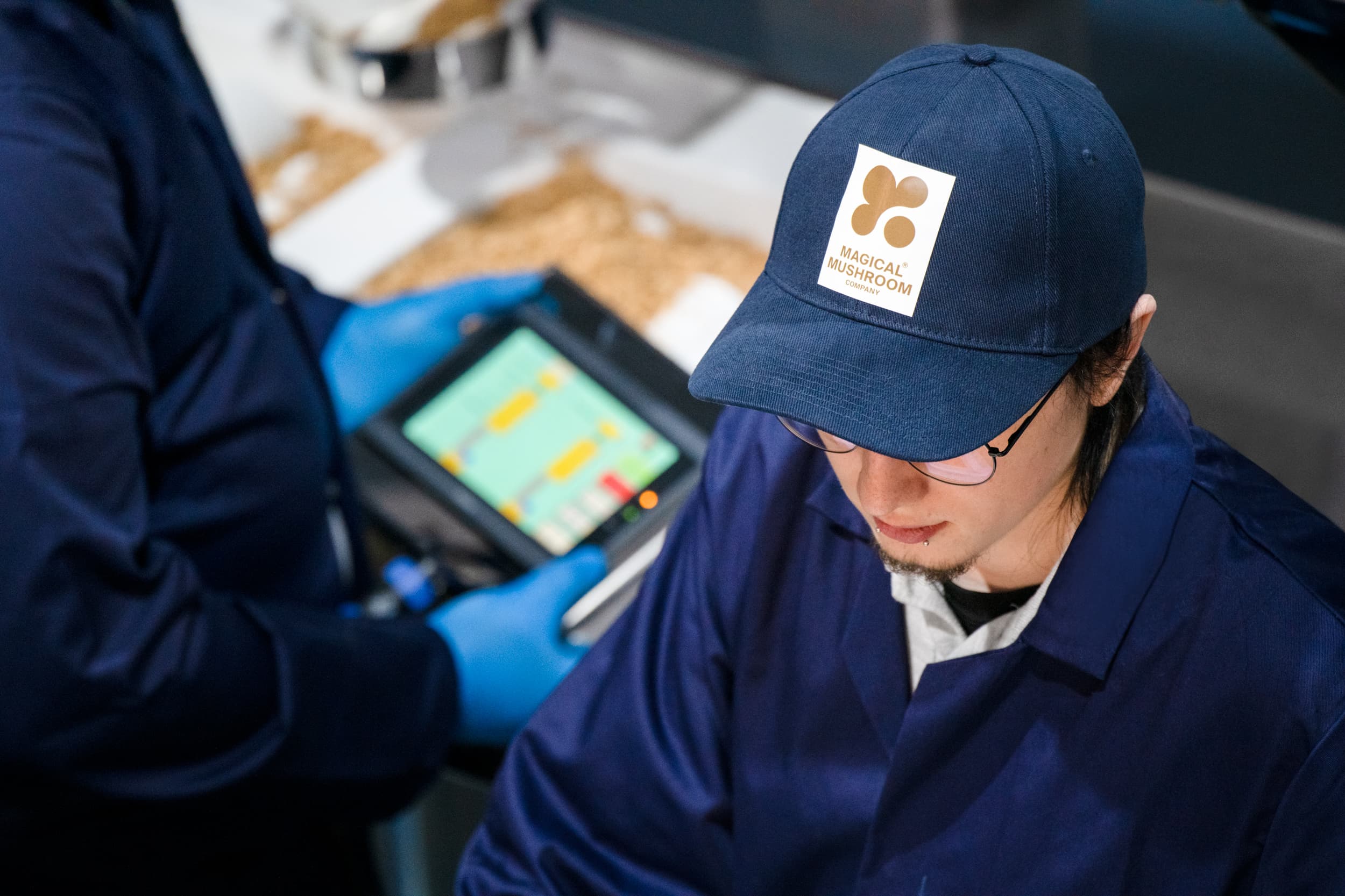 Mushroom® Packaging is made to the highest standard in our state-of-the-art factories