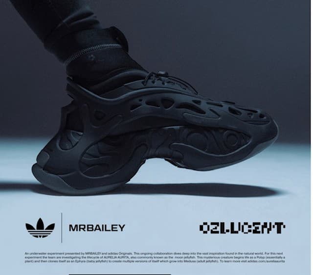 Adidas x Mr Bailey trainers Ozlucent are revolutionary trainers in revolutionary mycelium packaging