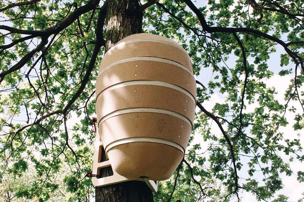 Bee hive made from mushroom-based packaging